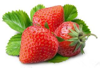 Polvo de la fruta fresa