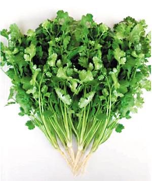 Cilantro en polvo