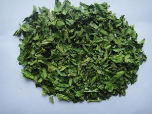 Espinaca en polvo