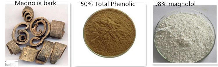 Magnolia bark & extract Magnolia bark & extract