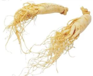 Extracto de Ginseng americano