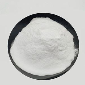 Sulfato de condroitina