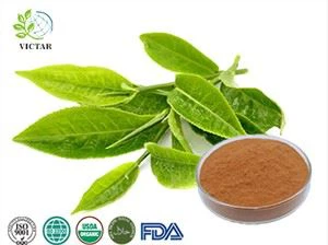 Polifenoles del té verde