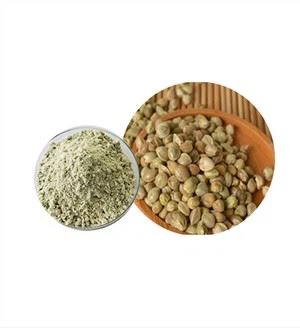 Proteína de cáñamo orgánica