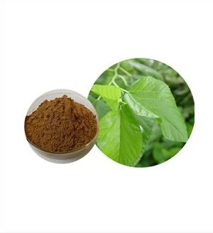 Extracto de hoja de morera orgánico