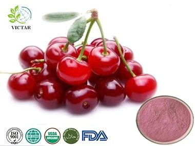 Polvo de fruta de cereza