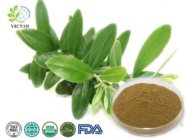 Extracto de hoja de olivo
