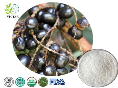 Extracto de palma enana americana