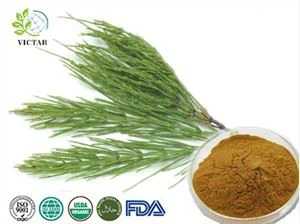 Extracto de cola de caballo