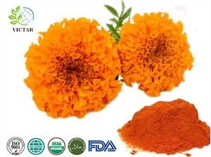 Extracto de caléndula