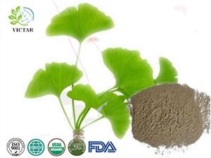 Ginkgo Biloba Orgánico en Polvo