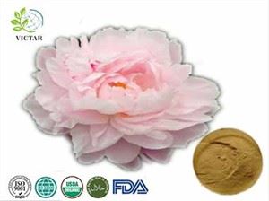 Extracto de raíz de peonía blanca Peony Extracto de raíz de peonía Peony Peony blanco Peony extracto Cuidado de la piel