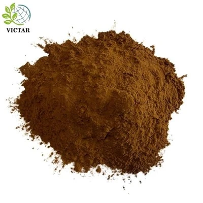 Hongo Chaga en polvo